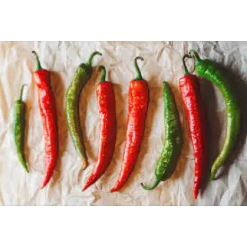 red-chilli4-4881941-83741.webp