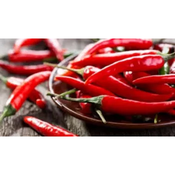 red-chilli4-5702331-5755.webp