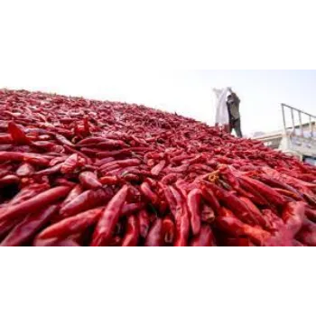 red-chilli5-2646492-99278.webp