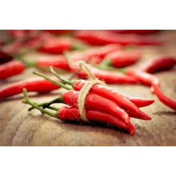 red-chilli6-3493116-83190.webp