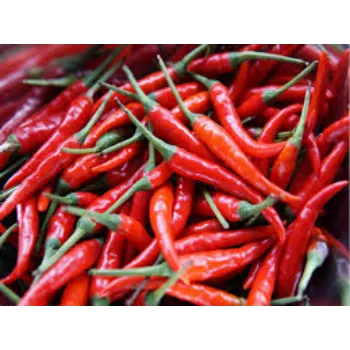 red-chilli6-9199190-80207.webp