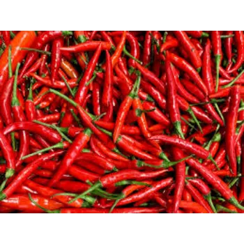 red-chilli8-2978475-9629.webp