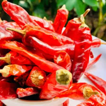 red-chilli8-3019465-63935.webp