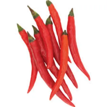 red-chli10-2902789-14781.webp