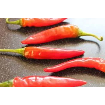 red-chli12-1121956-17314.webp