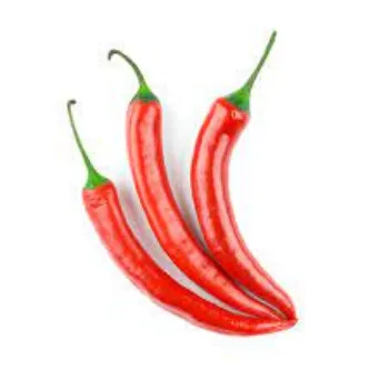 redchilli3-5310069-14046.webp