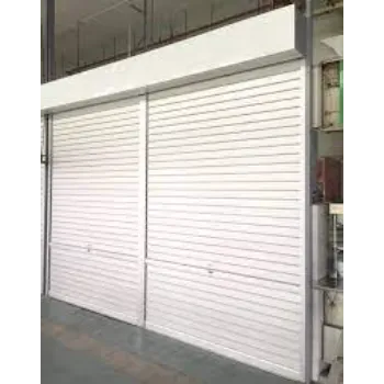 Solid Roller Doors roller-doors-3-5365421-6213.webp