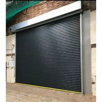 Coated Roller Doors roller-doors-4-9061479-14956.webp