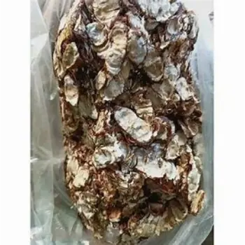 Imli seedless-imli06-499650-88412.webp