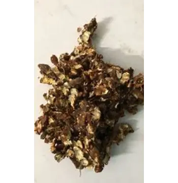 Organic Seedless Imli seedless-imli15-2695812-48252.webp