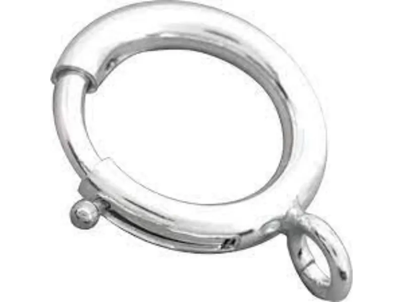 Silver Clasp silver-clasp-4-1677162-26237.webp