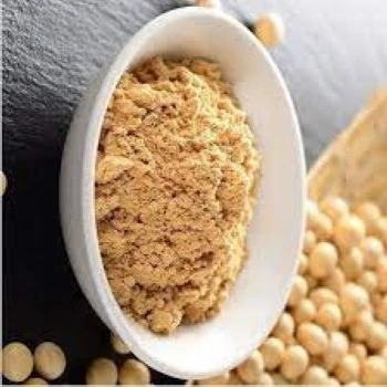 Soya Protein soya-protein08-4476761-47204.webp