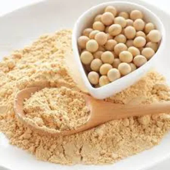 Soya Protein soya-protein22-5410897-36841.webp