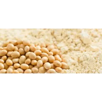 Soya Protein soya-protein59-1932919-89229.webp