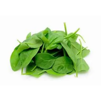 spinach-01-7783016-24896.webp