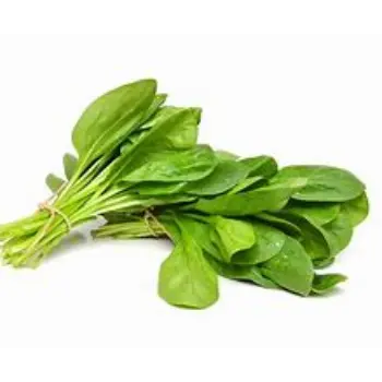 spinach-03-882624-94359.webp