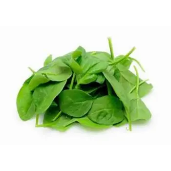 spinach-04-7369608-28346.webp