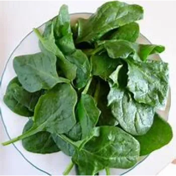 spinach-04-8395273-14752.webp