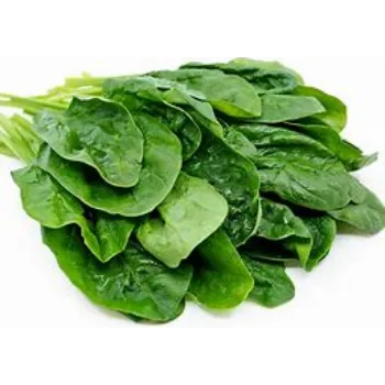 spinach-07-6120456-12211.webp