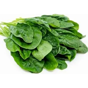 spinach-07-6636295-17105.webp
