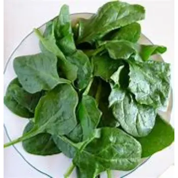 spinach-08-2487694-96697.webp
