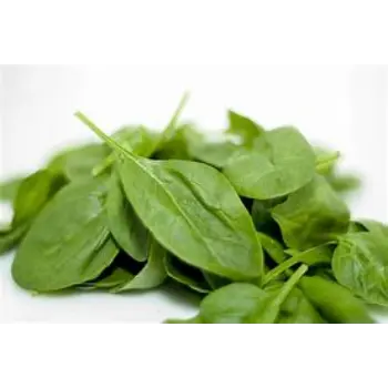 spinach-10-2634763-69288.webp