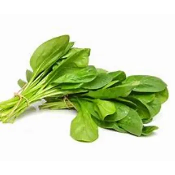 spinach-11-6653470-4128.webp