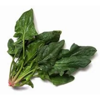 spinach-15-9339597-85721.webp