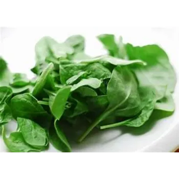 spinach-16-8103468-4763.webp