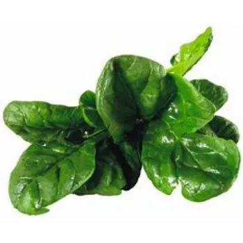 spinach-18-792812-74412.webp