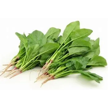 spinach-19-9695384-41685.webp