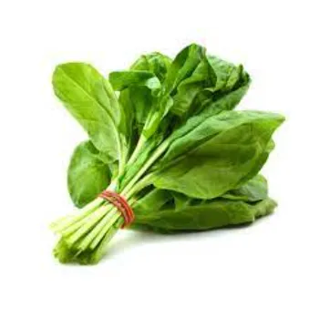 spinach-3191085-16565.webp