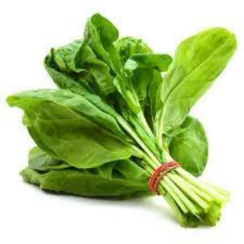 spinach02-1132788-82882.webp