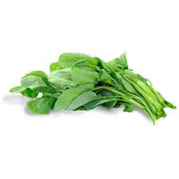 spinach03-4980285-65525.webp