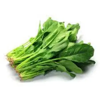 spinach03-569457-36619.webp