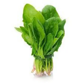 spinach05-5762246-20901.webp