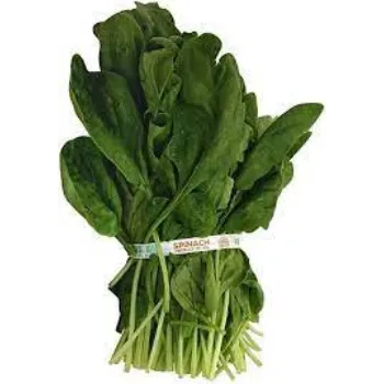 spinach05-7210579-25461.webp