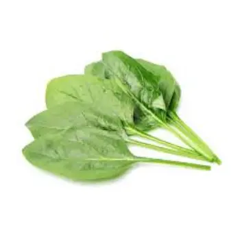spinach06-1056153-4248.webp