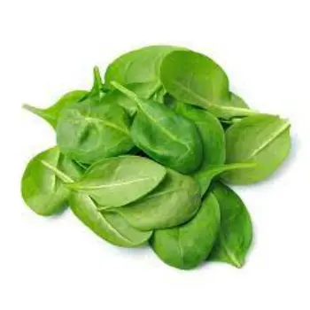 spinach07-5818271-27739.webp