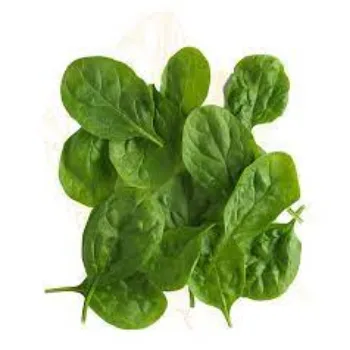 spinach08-9331398-99079.webp