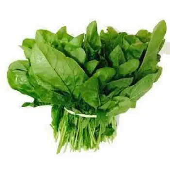 spinach10-9707998-24428.webp