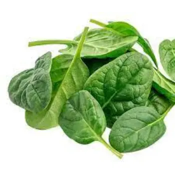 spinach13-4421978-4703.webp