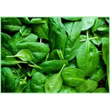 Natural Frozen Spinach spinach14-6116609-90924.webp