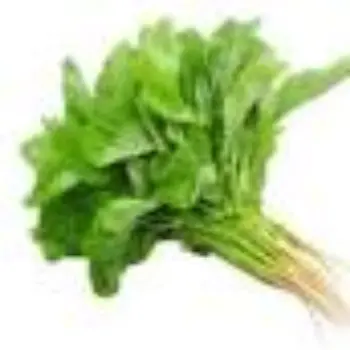 spinach14-9980774-86649.webp