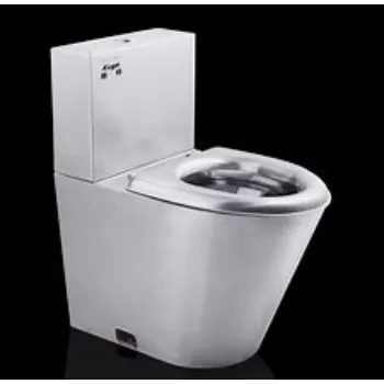Durable Stainless Steel Toilet stainless-steel-toilet-3-7101747-51724.webp