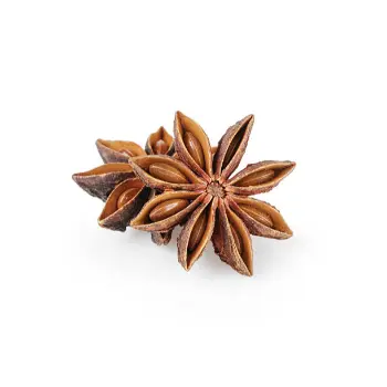 Organic Star Anise star-anise-09-3815264-22049.webp