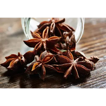 Natural Star Anise star-anise-09-4194974-39507.webp