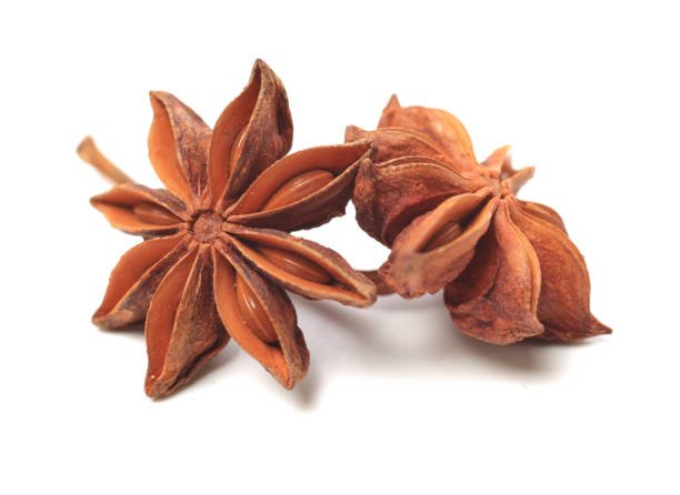 Fresh Star Anise star-anise-44-9328013-57620.jpg