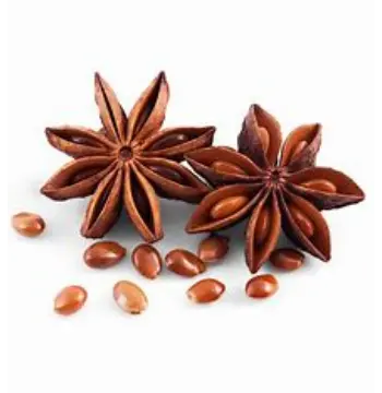 Fresh Star Anise Manufacturer, Exporter, Wholesaler, and Trader star-anise01-2313572-32780.webp