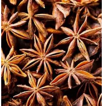 Natural Star Anise star-anise16-6195930-57614.webp